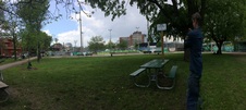 Alexandra Park (Scadding Court)