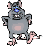 Biggy Rat's avatar