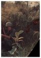 Enlarge photo 43