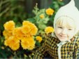 Enlarge photo 45