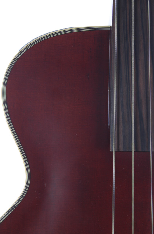 Takamine TB10 Acoustic Electric Upright Bass eBay