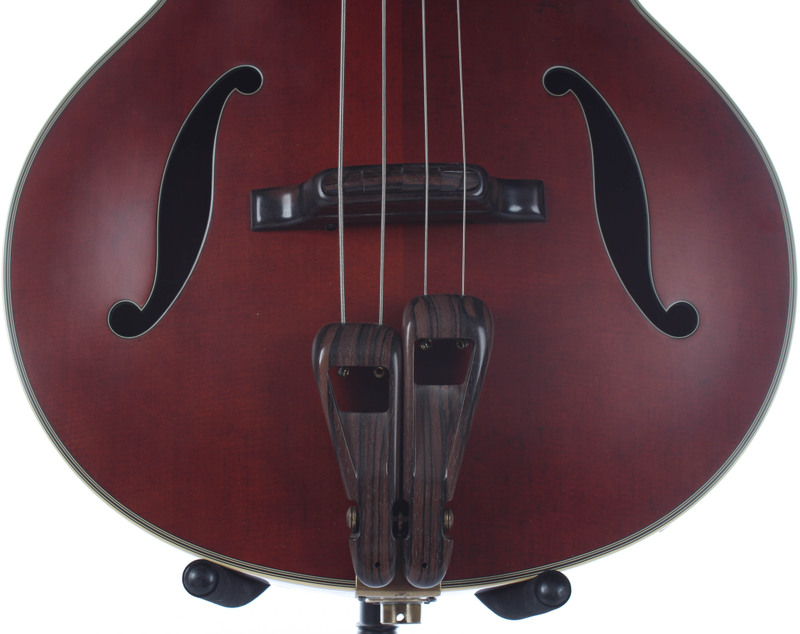 Takamine TB10 Acoustic Electric Upright Bass eBay