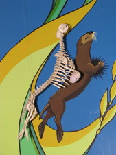Hall of Mammals