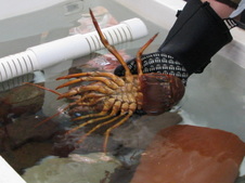 Oceanography Labs