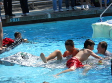 Enlarge photo 185