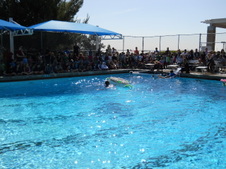 Enlarge photo 135