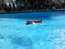 Enlarge photo 72