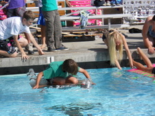 Enlarge photo 54