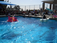 Enlarge photo 53