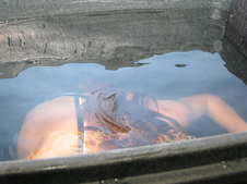 Enlarge photo 153