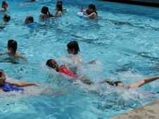 Enlarge photo 61