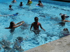 Enlarge photo 60