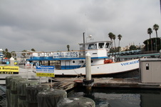 Enlarge photo 80