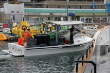 Enlarge photo 74