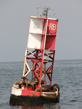 Enlarge photo 72