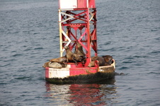Enlarge photo 71