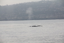 Enlarge photo 45