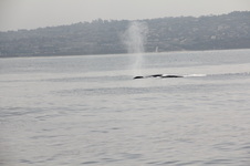 Enlarge photo 43
