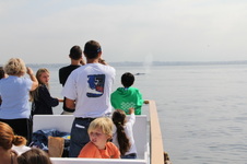 Enlarge photo 39