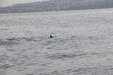 Enlarge photo 32