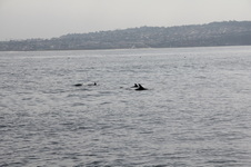 Enlarge photo 31