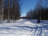 Enlarge photo 19