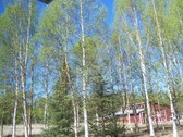 Enlarge photo 45