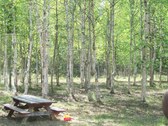 Enlarge photo 46