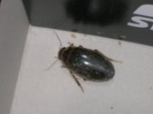Enlarge photo 47