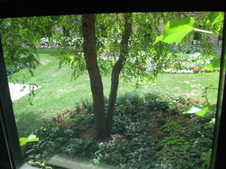 Enlarge photo 41