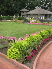 Enlarge photo 157