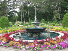 Enlarge photo 186