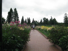 Enlarge photo 192