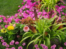 Enlarge photo 204