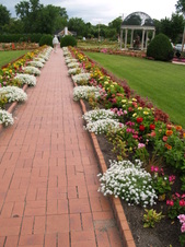 Enlarge photo 205