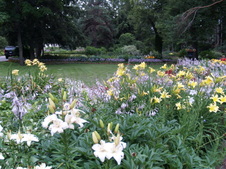 Enlarge photo 207