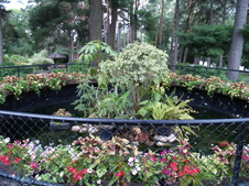 Enlarge photo 209