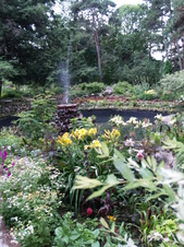 Enlarge photo 211