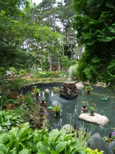 Enlarge photo 214