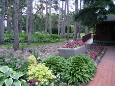 Enlarge photo 218