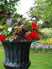 Enlarge photo 220