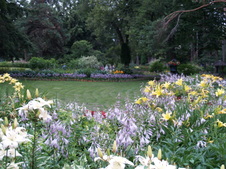 Enlarge photo 225
