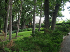 Enlarge photo 224