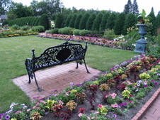 Enlarge photo 223