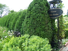 Enlarge photo 226