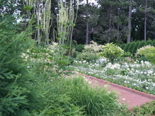 Enlarge photo 231