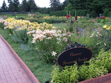 Enlarge photo 229
