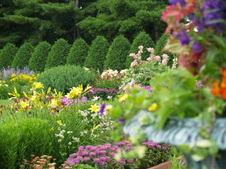 Enlarge photo 233