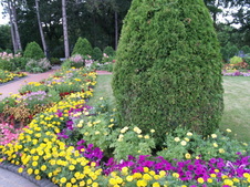 Enlarge photo 238