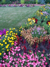 Enlarge photo 239